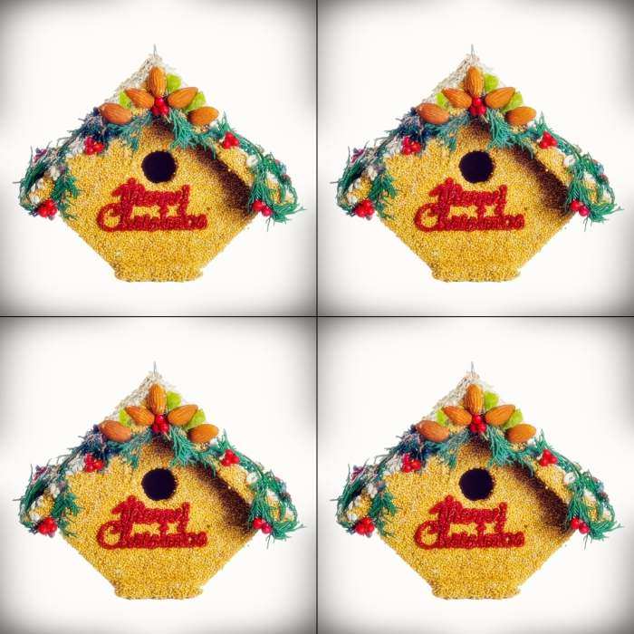 Juniper Casita Merry Christmas Birdhouse 4/Pack